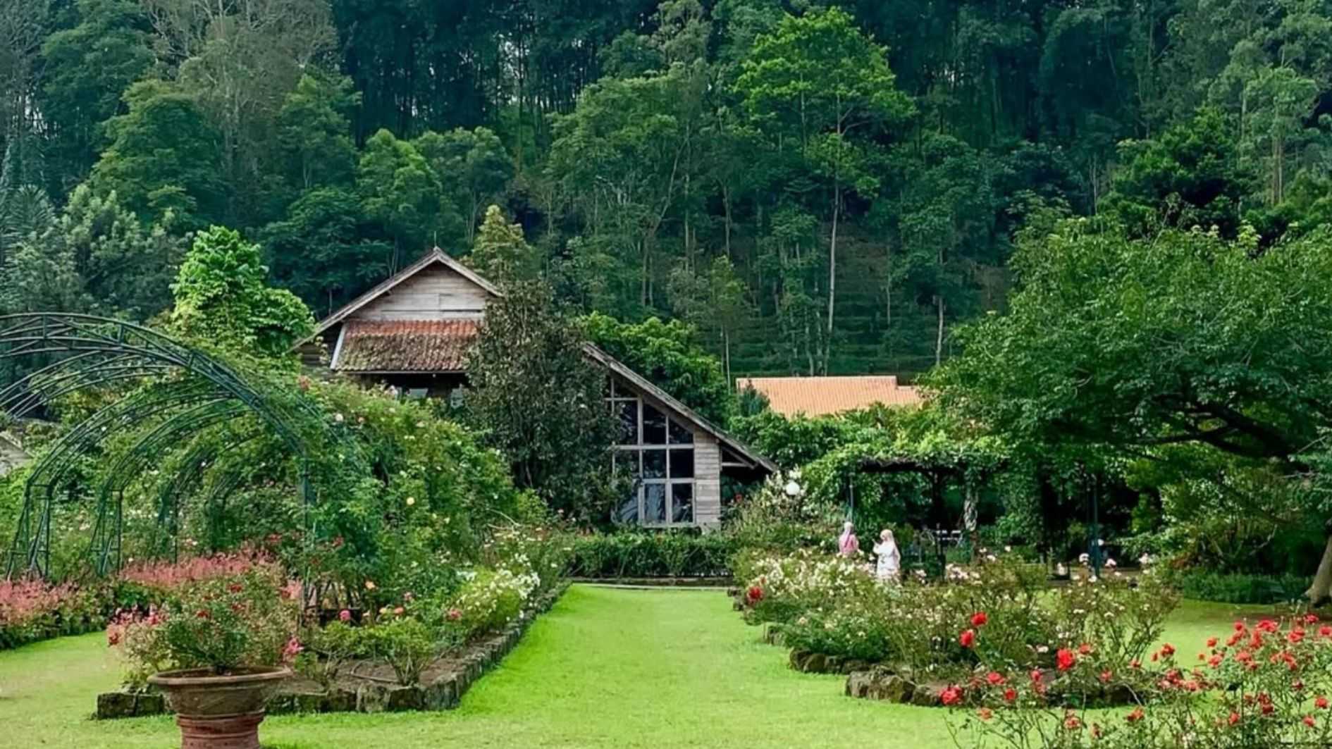 Kebun Mawar Situhapa Garut, Tempat Healing Nuansa Romantis
